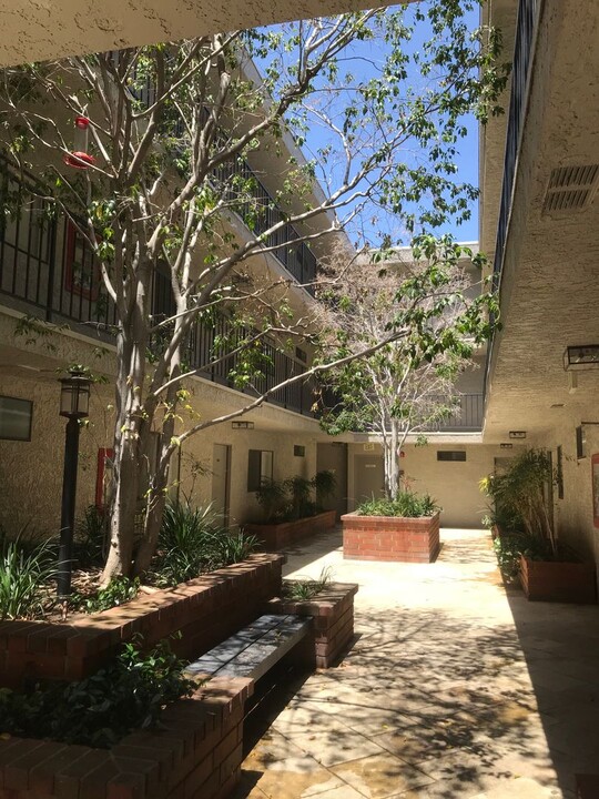 3709 Watseka Ave, Unit 309 in Los Angeles, CA - Building Photo