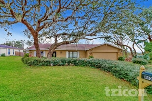 8605 Stoner Woods Dr in Riverview, FL - Building Photo