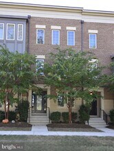 22904 Bollinger Terrace in Ashburn, VA - Building Photo - Building Photo