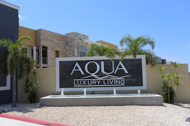 Aqua Luxury Living in Mission, TX - Building Photo - Building Photo