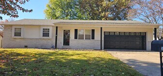 313 Britanna Dr in Belleville, IL - Building Photo