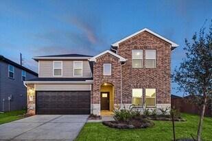 4127 Camden Lakes St in Fulshear, TX - Building Photo