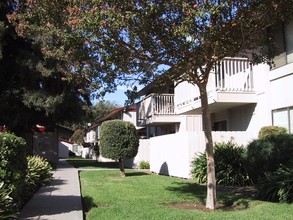 Oak Terrace Apartments in Merced, CA - Building Photo - Building Photo