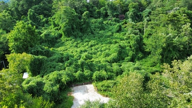 7712 Sevierville Pike in Knoxville, TN - Building Photo - Building Photo