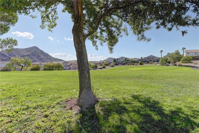 property at 10650 Alpine Frost Ct