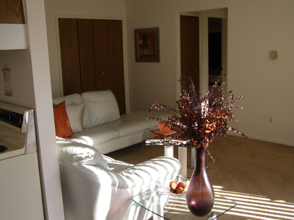 Freedom Village Apartments in Farmington Hills, MI