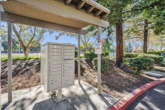 1101 Lakeview Cir in Pittsburg, CA - Building Photo - Building Photo