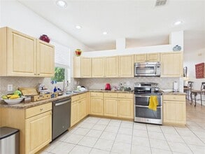 17353 Lawn Orchid Loop in Land O Lakes, FL - Building Photo - Building Photo