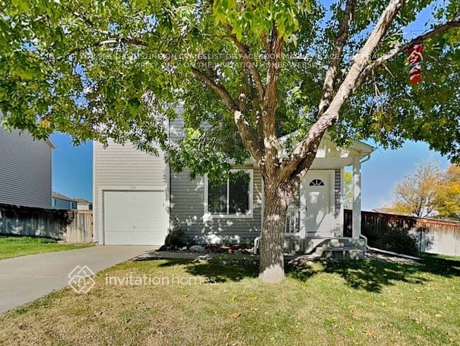 property at 1205 Bluebird St