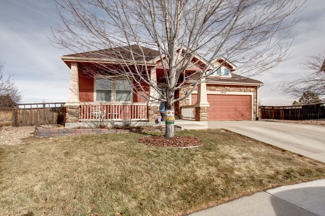2950 Feather Ct in Castle Rock, CO - Building Photo - Building Photo
