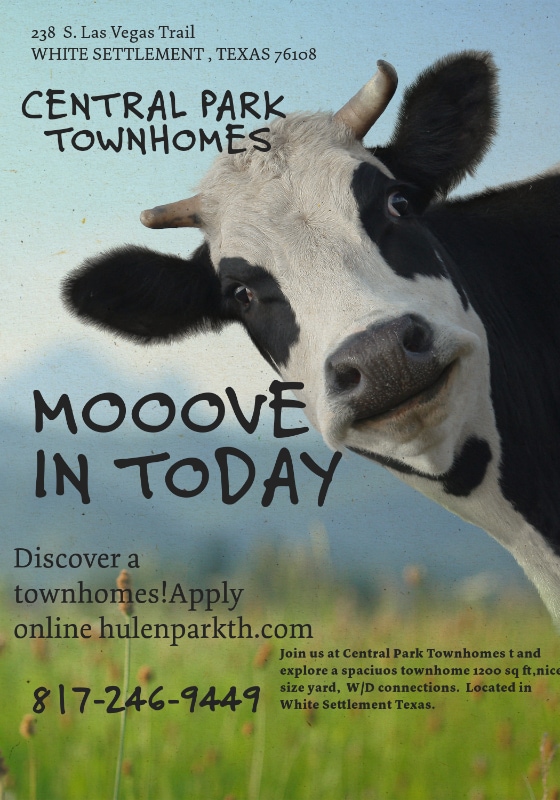 property at 146 S Las Vegas Trail