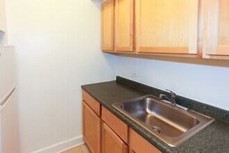 541 W Arlington Pl in Chicago, IL - Building Photo - Building Photo