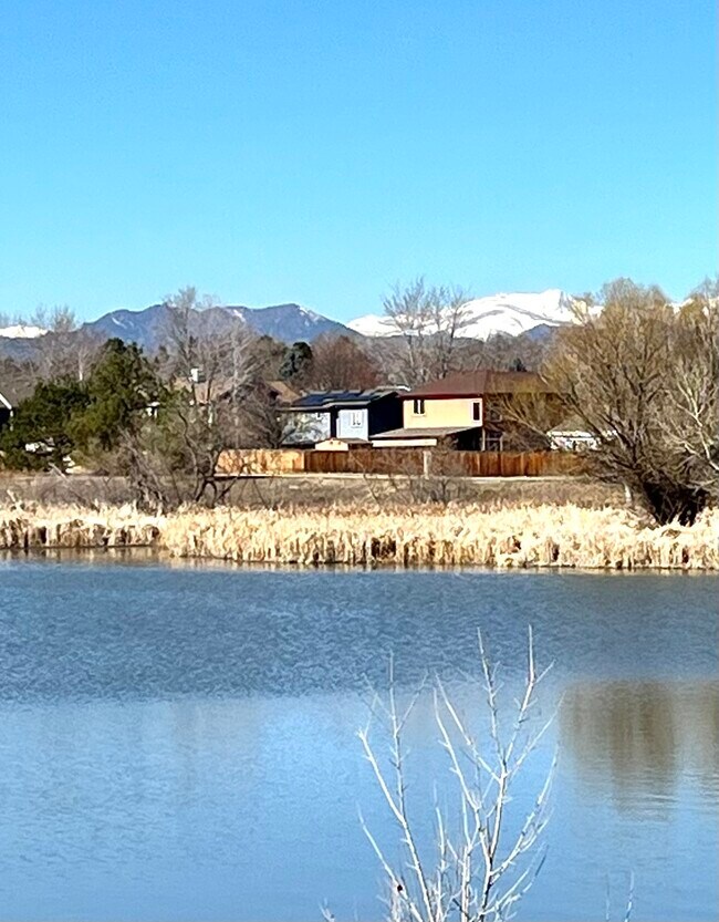 13176 Alcott Pl in Broomfield, CO - Building Photo - Building Photo