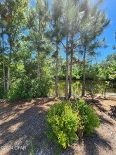 109 Fossil Falls Ln in Panama City Beach, FL - Building Photo - Building Photo