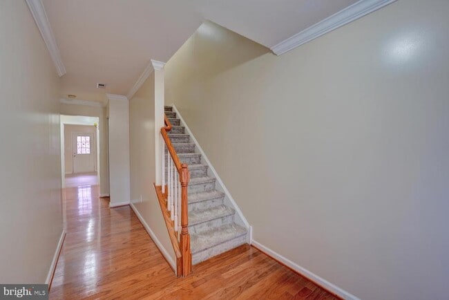 536 Van Dyke Cir in Newark, DE - Building Photo - Building Photo