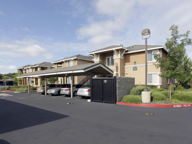 Silverado Creek in Elk Grove, CA - Building Photo - Building Photo