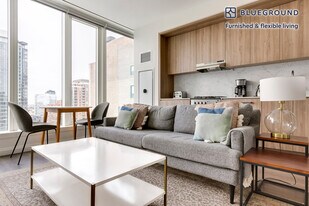 1000 S Michigan Ave in Chicago, IL - Building Photo