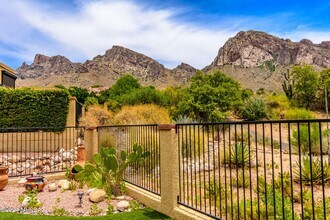 1184 Cam Diestro in Oro Valley, AZ - Building Photo - Building Photo