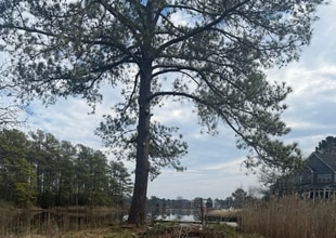 1732 Rockwood Dr in Chesapeake, VA - Foto de edificio - Building Photo