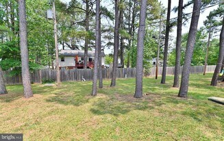 226 Brunswick Rd in Stephens City, VA - Building Photo