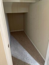 3815 Steelhead St in Fort Collins, CO - Building Photo - Building Photo