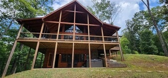 101 Hothouse Dr in Mineral Bluff, GA - Building Photo