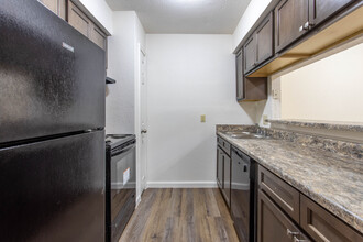 Silver Star Apartments in Houston, TX - Building Photo - Interior Photo