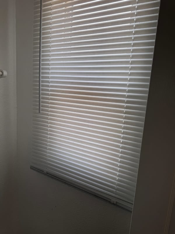 8557 Juniper Ave in Fontana, CA - Foto de edificio - Building Photo