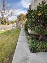 161 Blossom Cir, Unit A in San Mateo, CA - Building Photo - Building Photo