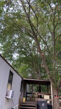 205 Lick Creek Rd in Big Sandy, TN - Building Photo - Building Photo