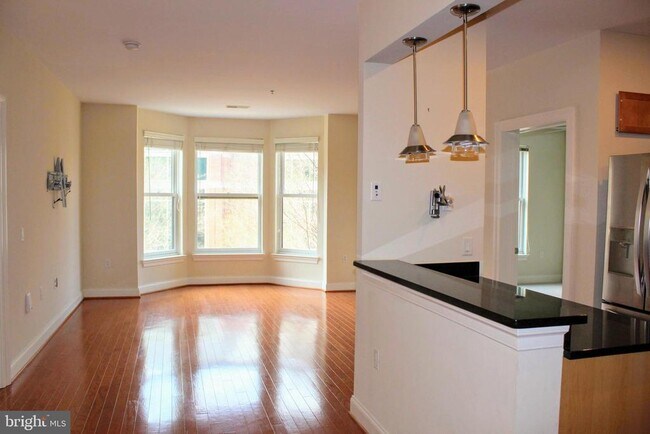 38 Maryland Ave in Rockville, MD - Building Photo - Building Photo