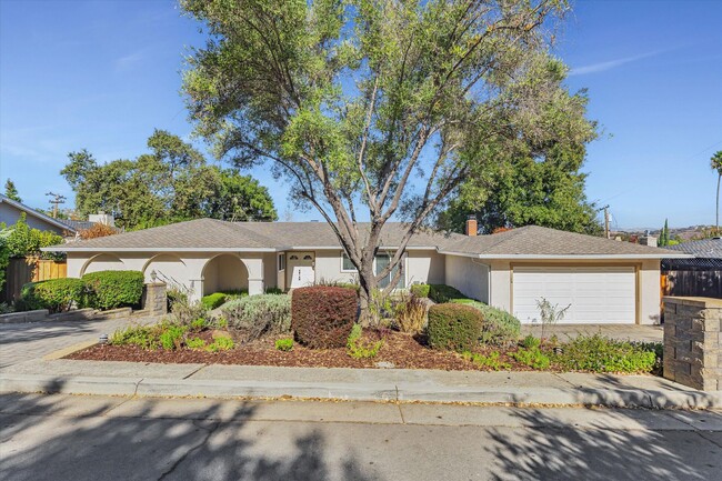 1255 Olive Branch Ln in San Jose, CA - Building Photo - Building Photo