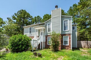 113 Trescott Ct in Summerville, SC - Building Photo