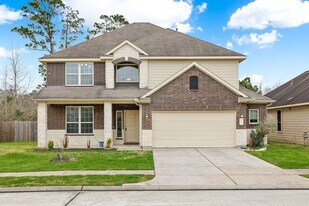 30802 Lavender Trace Dr in Spring, TX - Building Photo