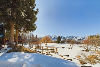 209 E Reds Rd in Aspen, CO - Building Photo - Building Photo