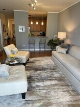 420 E Waterside Dr in Chicago, IL - Foto de edificio - Building Photo