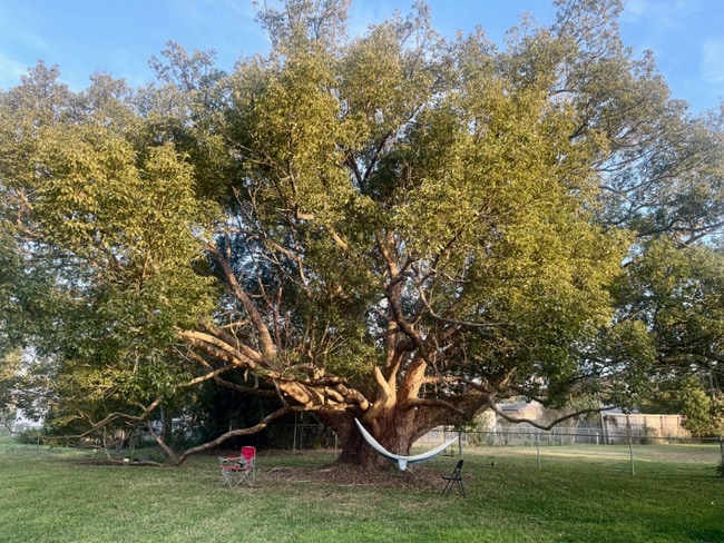 950 Hedgewood Ct in Winter Park, FL - Building Photo - Building Photo