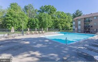 816 Pecan Ct in Bel Air, MD - Building Photo - Building Photo