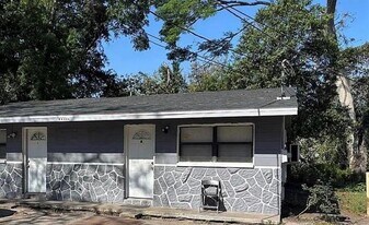 10022 N Lantana Ave in Tampa, FL - Building Photo