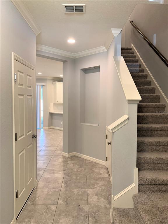 1073 Amber Leaf Trl in Wesley Chapel, FL - Building Photo - Building Photo