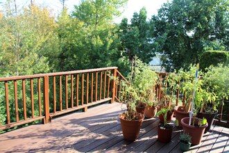 251 Captain Eames Cir in Ashland, MA - Building Photo - Building Photo