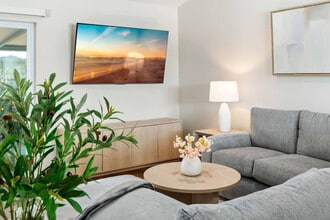 1941 Tidewater Ct in Zephyrhills, FL - Building Photo - Building Photo