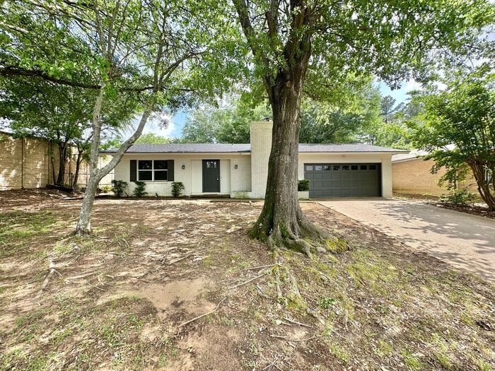 2825 Apache Trail in Tyler, TX - Building Photo