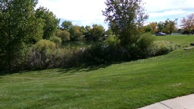 217 Rock Bridge Ln in Windsor, CO - Foto de edificio - Building Photo
