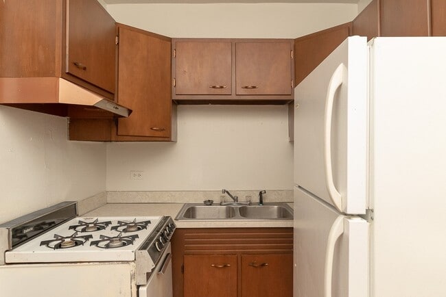 1350 N Dearborn St in Chicago, IL - Building Photo - Building Photo
