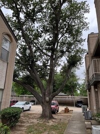 2011 Spenwick Dr - 18