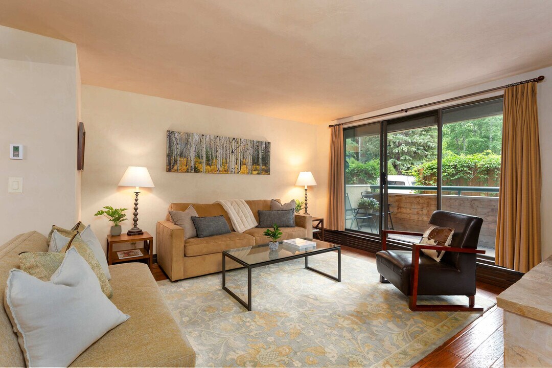 1024 E Hopkins Ave in Aspen, CO - Building Photo