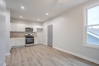 1013 W 18th Pl in Chicago, IL - Building Photo - Building Photo