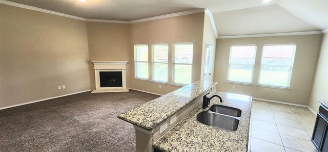 1209 Nocona Dr in McKinney, TX - Building Photo - Building Photo