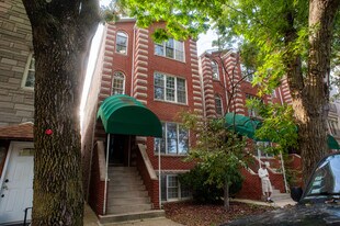 916 N Paulina St in Chicago, IL - Building Photo